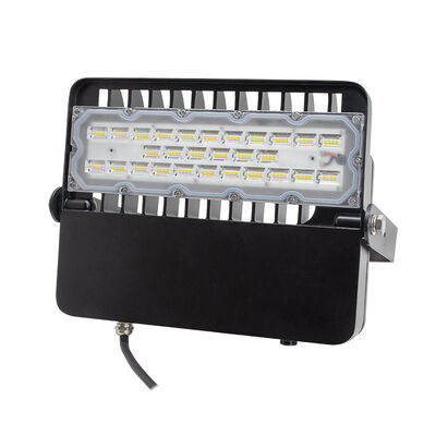 高効率の屋外LEDフロードライト 100W 48V DC